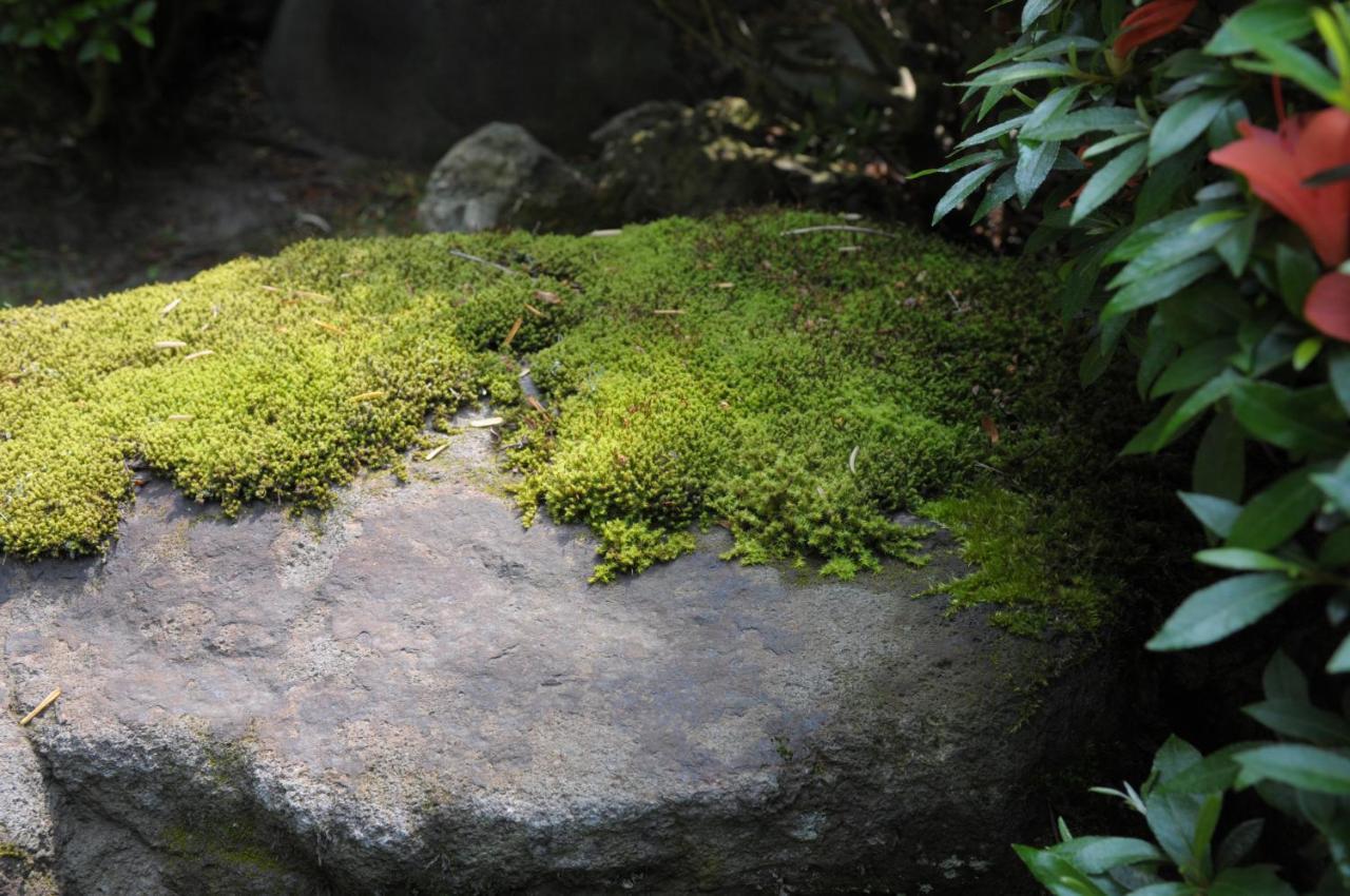 Historical Ryokan Senyukan Óvani Kültér fotó