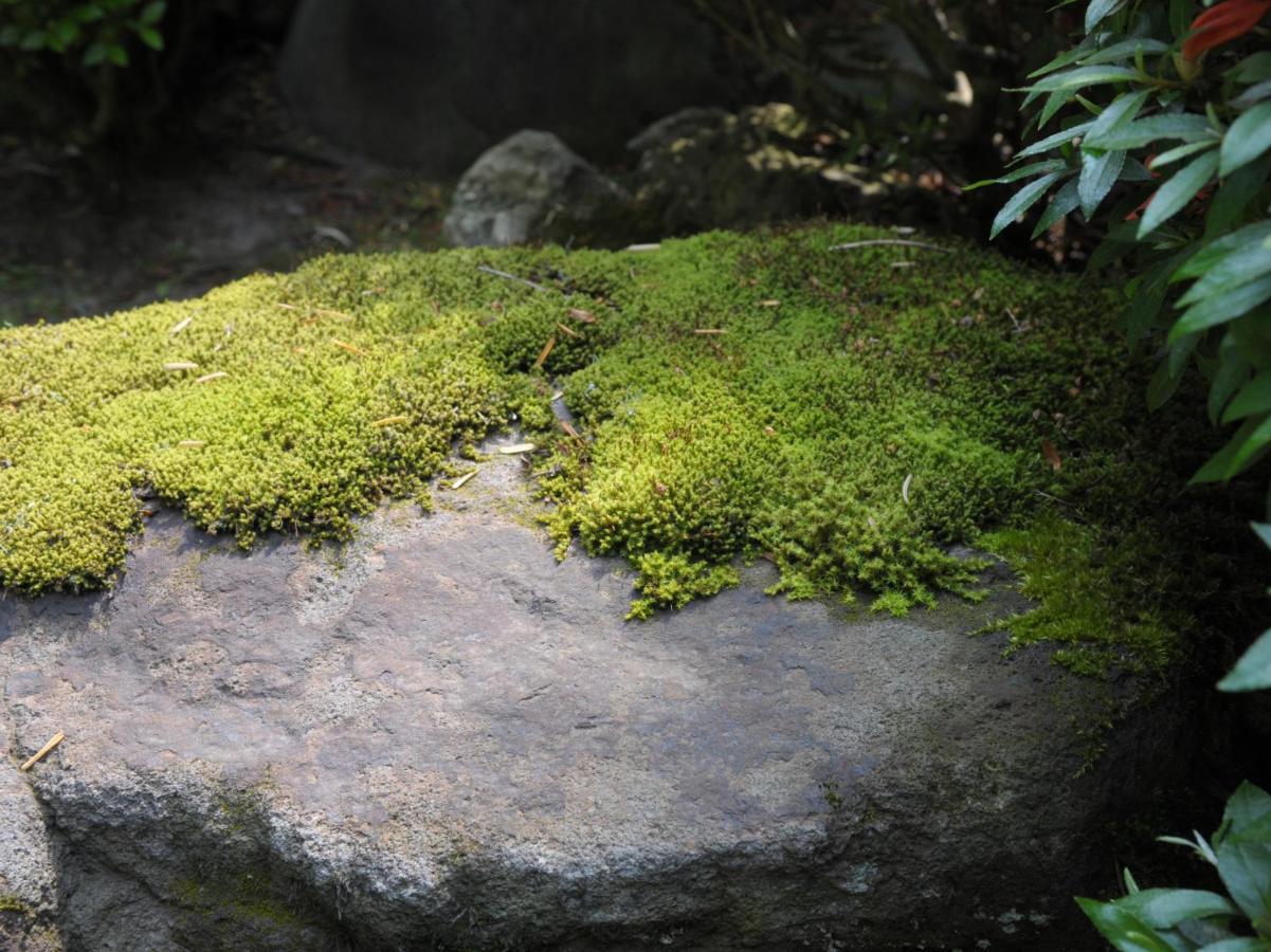 Historical Ryokan Senyukan Óvani Kültér fotó